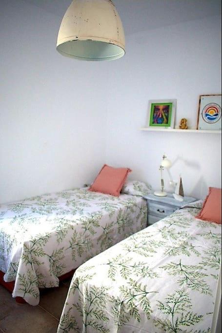 Appartamento Espectacular Casa Muy Luminosa Con Azotea Conil De La Frontera Esterno foto